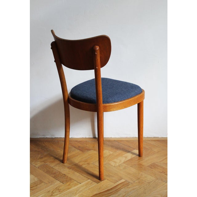 Czech Beech Dining Chair by Up Rousínov from Up Závody, 1960s For Sale - Image 13 of 17