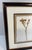 Contemporary Framed Pressed Wax Flower Blossom For Sale - Image 3 of 9