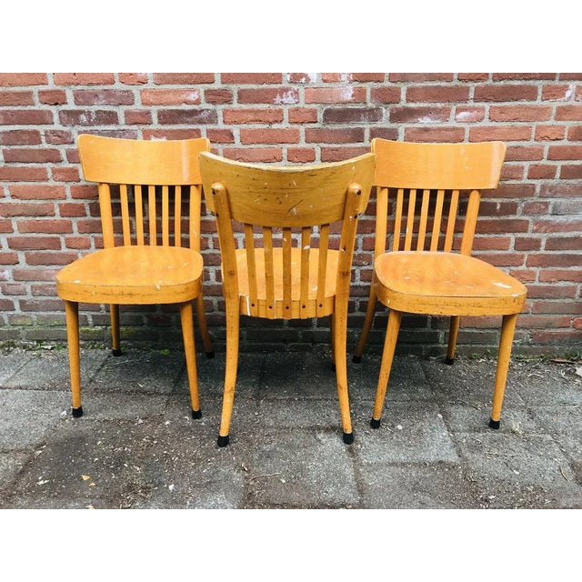 1960s Wooden Dining Chairs from Erco, 1960s, Set of 3 For Sale - Image 5 of 11