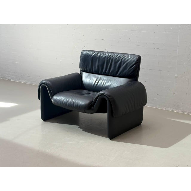Animal Skin DS-2011 Black Leather Lounge Chair from De Sede, Switzerland, 1980s For Sale - Image 7 of 18