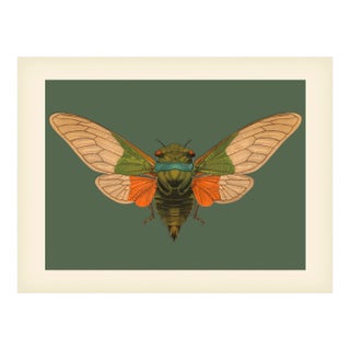 Bugs by Seguy #5 For Sale
