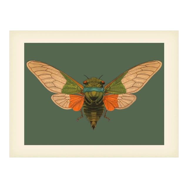 Bugs by Seguy #5 For Sale