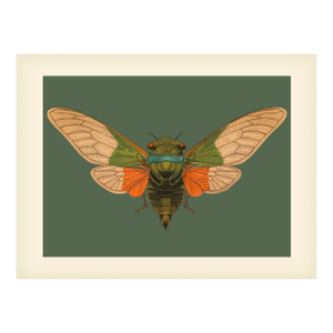 Bugs by Seguy #5