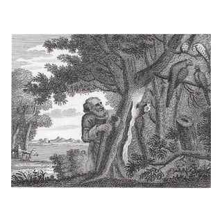 1793 the Philosopher and the Pheasants Engraving by William Skelton For Sale
