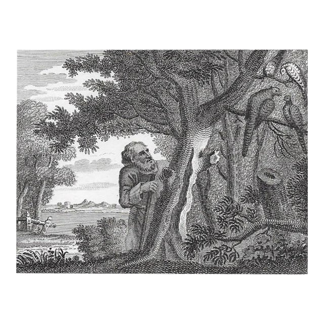 1793 the Philosopher and the Pheasants Engraving by William Skelton For Sale