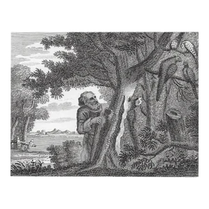 1793 the Philosopher and the Pheasants Engraving by William Skelton