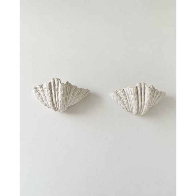 Ivory Vintage Plaster Seashell Wall Sconces attributed to S. Roche, France, 1920s, Set of 2 For Sale - Image 8 of 9