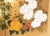 "Autumn Flowers" by Kazuko Chiyo Sasaki, C. 1960s Painted Silk Byobu Screen For Sale - Image 12 of 17