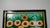 Folk Art Contemporary Lorenzo Scott titled "Sunflowers" For Sale - Image 3 of 10