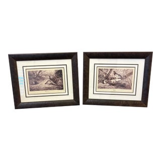 Framed Game Bird Prints After Archibald Thorburn, Pheasant & Ryper – A Pair For Sale