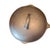 Mid 20th Century Wagner Cast Iron #10 Chicken Fryer Deep Skillet With Self-Basting Lid, For Sale In Raleigh - Image 6 of 13