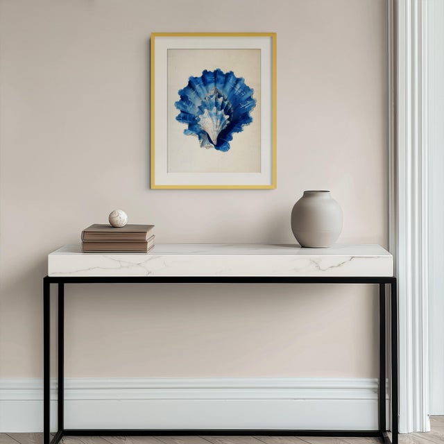 Set of 8 – Blue and White Conch Shells Collection | Coastal Natural History Fine Art Prints For Sale - Image 6 of 18