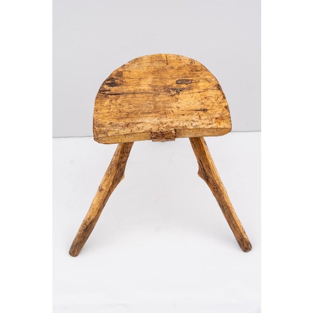 Brown Elm Milking Stools, 1850s, Set of 2 For Sale - Image 8 of 9