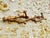 Wall-Mounted Turned Wood Folding Coat Rack, 1920s For Sale - Image 16 of 18