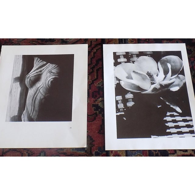 1990s Vintage Man Ray Surrealist Photographic Prints - Set of 9 For Sale - Image 5 of 9