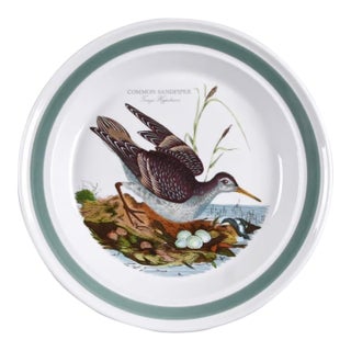 Vintage Portmeirion Birds of Britain Common Sandpiper Dinner Plate - Green Band For Sale