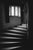 Contemporary Paul Cooklin, Staircase, Silver Gelatin Photograph For Sale - Image 3 of 3