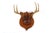 Set of 4 Vintage Mounted Deer Antlers With Leather and Brass Tacks For Sale - Image 6 of 15