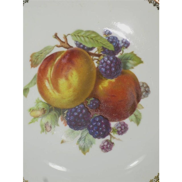 Late 19th Century 3 Plates German Bavaria, Fruit Plaque, Transfer Ware, Still Life For Sale - Image 12 of 12