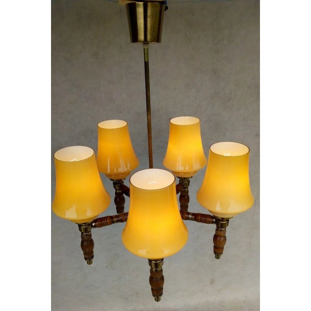 Vintage Chandelier, 1960s For Sale - Image 4 of 13