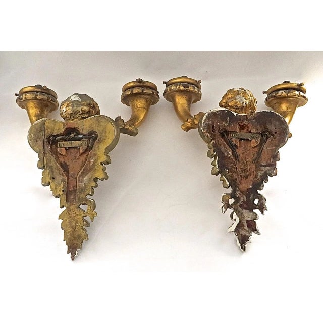 Wood 19thc French Louis XV Carved & Gilt Wood Putto/ Cherub Double Wall Sconces Electrified a - Pair For Sale - Image 7 of 13
