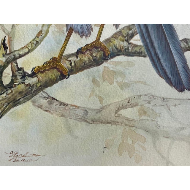 Realism Vintage Watercolor Avian Animal Paintings, Signed & Framed Pair For Sale - Image 3 of 8