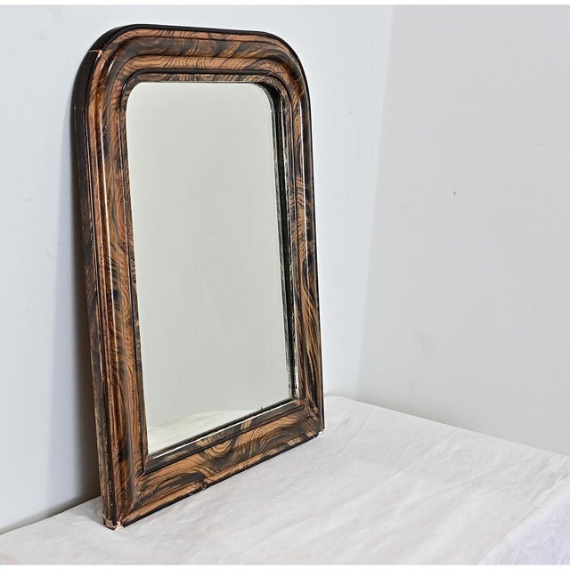 Wood French 19th Century Faux Bois Louis Philippe Mirror For Sale - Image 7 of 8