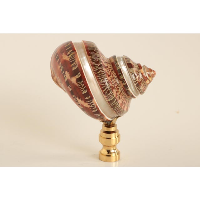 Mother of Pearl Banded Shell Lamp Finial Chairish