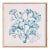 Translucent Coral Print For Sale