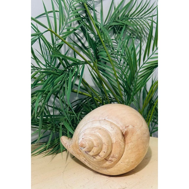 Sarreid Large Carved Wood Conch Shell, Made in Spain For Sale In Miami - Image 6 of 11