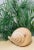 Sarreid Large Carved Wood Conch Shell, Made in Spain For Sale In Miami - Image 6 of 11