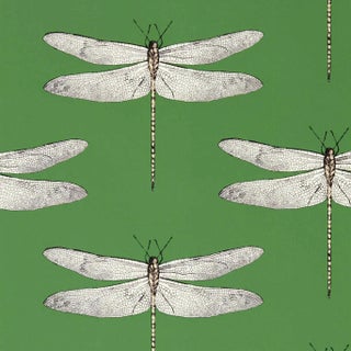 Harlequin Demoiselle Wallpaper in Kelly/First Light/Blush For Sale