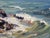 Presque Isle (Day 113), June 7, 2024 by Primary Hughes | Oil on gessobord Seascape with rocky shore and waves For Sale - Image 4 of 5