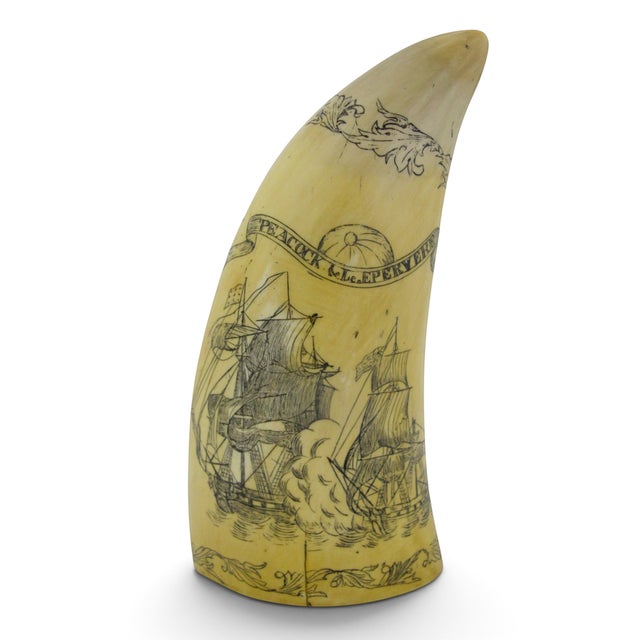 Plastic Save the Whale Polymer Faux Scrimshaw Reproduction Peacock Epervier Artek Tooth For Sale - Image 7 of 13