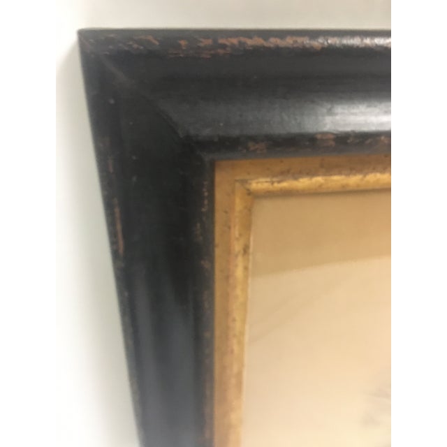 Pair of 19thc Hand-Colored Lithographs of Ducks by John Gould & h.c. Richter For Sale - Image 9 of 12