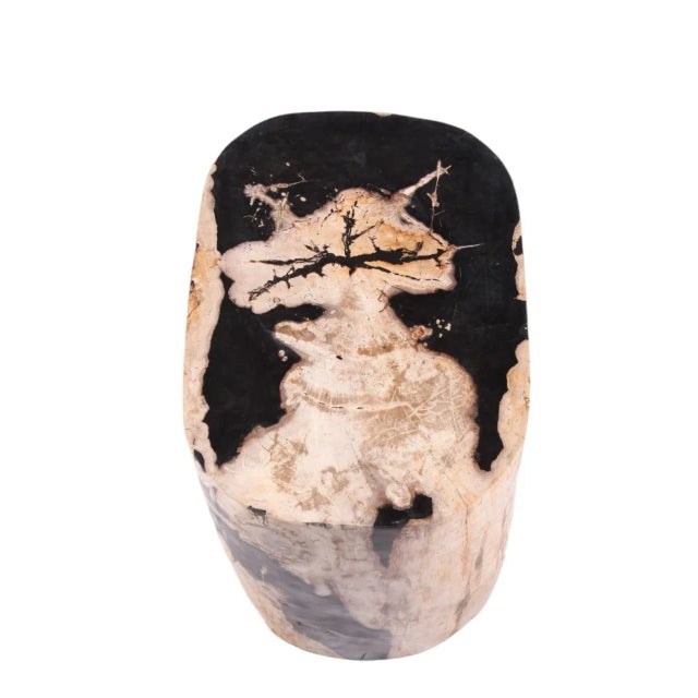 Wood Large Oval Petrified Wood Accent Table or Side Table 2 For Sale - Image 7 of 10