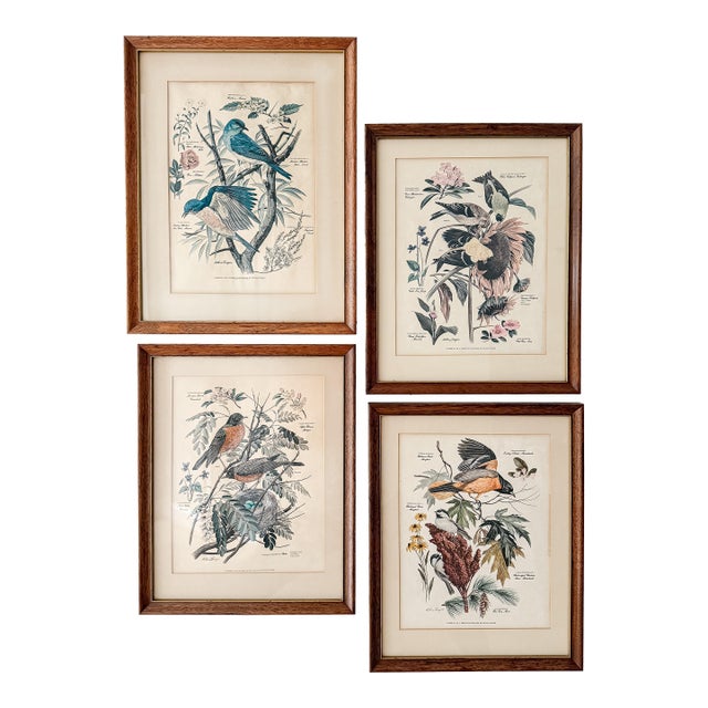 Set of 4 Vintage Wood Framed Arthur Singer Bird & Botanical Prints For Sale