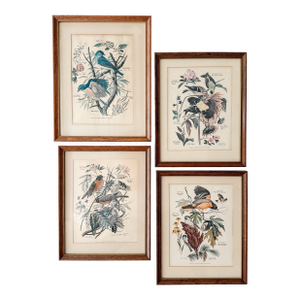 Set of 4 Vintage Wood Framed Arthur Singer Bird & Botanical Prints