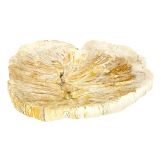Petrified Wood Round Shape Tan & Amber Oval Bowl Dish Large Plate Ashtray For Sale