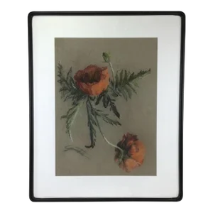 Vintage Botanical Pastel on Paper of Red Flowers Framed Under Glass, Artist Signed, Circa 1930’s