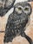 1970s 1975 Martha Cawley Woodblock Print, Saw-Whet Owls, #1/100 For Sale - Image 5 of 9