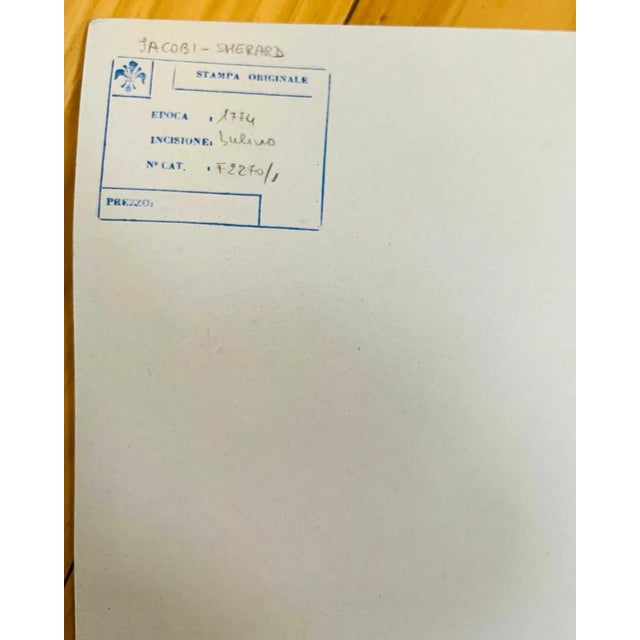 Original Mattioli Pietro Andrea Woodcut For Sale - Image 4 of 4