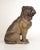 Bronze TERRA COTTA SITTING PUG DOG STATUE ATTRIBUTED TO GOLDSCHEIDER For Sale - Image 8 of 12