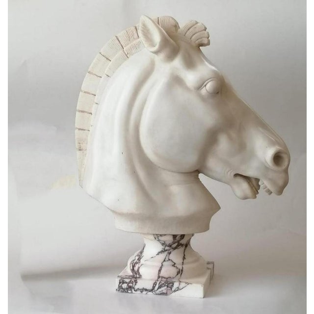 Horse head sculpture on white Carrara marble of a horse in classic style placed on a turned base in Carrara marble. Early...