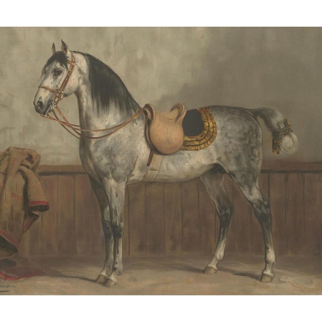 After Otto Eerelman, Lipizzaner Horse Portrait, 1898, Lithograph on Paper For Sale - Image 3 of 11
