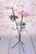 Metal Mid-Century Czech Flower Stand in Lacquered Metal, 1950s For Sale - Image 7 of 10