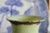 Late 19th-Century Victorian Bristol-Style Green Opaline Scenic Glass Vase For Sale - Image 17 of 18