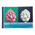 Peter Read Framed Artichoke Painting For Sale