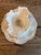 1950s Vintage Italian Fruit Bowl For Sale - Image 5 of 5