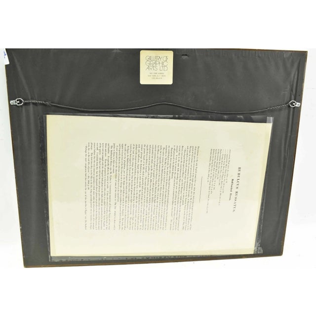 Original Antique John Gould Bubulcus Russatus Color Bird Lithograph Reproduction Print For Sale In New York - Image 6 of 6